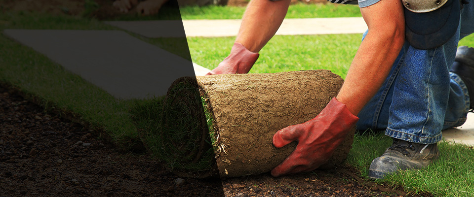 Fulshear Landscapers
